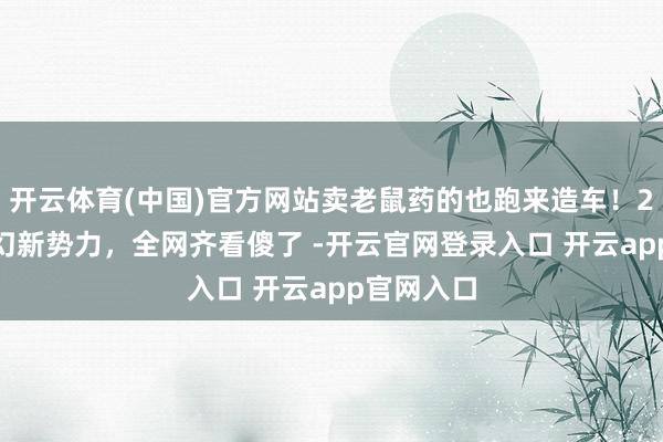 开云体育(中国)官方网站卖老鼠药的也跑来造车！2025最奇幻新势力，全网齐看傻了 -开云官网登录入口 开云app官网入口
