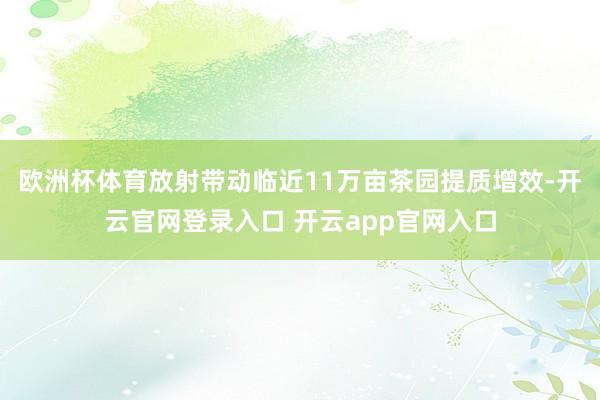 欧洲杯体育放射带动临近11万亩茶园提质增效-开云官网登录入口 开云app官网入口